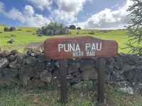 Osterinsel - Puna Pau