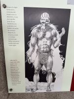 Osterinsel - Vogelmann