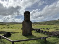 Hoa Hakananai'a - gestohlener Freund