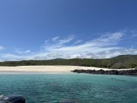 Galapagos - Insel Lobos