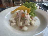 Isla Isabela - Insel Isabela - Galapagos - Mittagspause