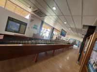 Insel Isabela - Schildkrötenzentrum - Walskelett