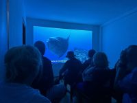 Insel Isabela - Schildkrötenzentrum