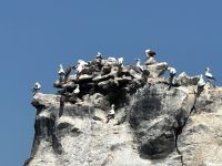 Galapagos - Isabela - Los Tuneles