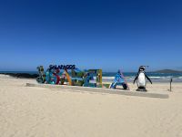 Galapagos - Insel Isabela