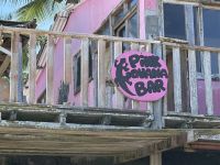 Galapagos - Insel Isabela - Meeresechsen sind hier zu finden