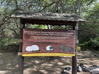 Galapagos - Insel Isabela - Schildkröte - Riesenschildkröten Aufzuchtszentrum