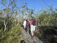 Galapagos San Cristobal - Wanderung zum Fregattvogelfelsen