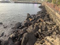 Galapagos - San Cristobal