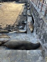 Galapagos - San Cristobal