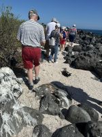 Galapagos - Insel Lobos