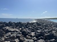 Galapagos - Insel Lobos 