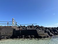 Galapagos - Insel Lobos