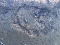 Galapagos - Insel Lobos