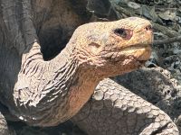 Charles-Darwin-Forschungsstation