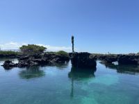 Galapagos  - Insel Isabela - Los Tuneles