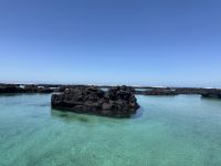 Galapagos  - Insel Isabela - Los Tuneles