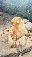 Refugio Animal Cascada, Chile  &ndash; &copy; Mareike Schmidt (Eberhardt TRAVEL)