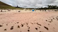 Anakena, Osterinseln &ndash; &copy; Mareike Schmidt (Eberhardt TRAVEL)