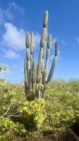 Wanderung am Cerro Tijeretas &ndash; &copy; Mareike Schmidt (Eberhardt TRAVEL)