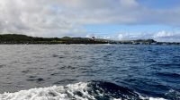 Fahrt zur Insel Lobos &ndash; &copy; Mareike Schmidt (Eberhardt TRAVEL)