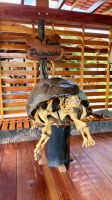 Schildkrötenfarm Rancho Primicias, Santa Cruz &ndash; &copy; Mareike Schmidt (Eberhardt TRAVEL)