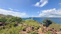 Insel Nord Seymour  &ndash; &copy; Mareike Schmidt (Eberhardt TRAVEL)