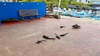 Meeting, Santa Cruz &ndash; &copy; Mareike Schmidt (Eberhardt TRAVEL)
