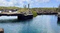 Los Tuneles, Isabela &ndash; &copy; Mareike Schmidt (Eberhardt TRAVEL)
