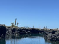Galapagos  - Insel Isabela - Los Tuneles