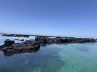 Galapagos  - Insel Isabela - Los Tuneles