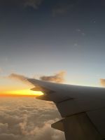 Heimflug
