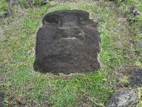 IMG_2564.jpeg