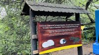 Isla Isabela - Schildkrötenaufzuchtstation