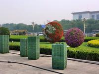 029 Schicke Blumen