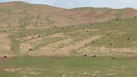 0344 Fahrt mit der Tibet-Bahn -