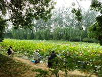 055 Natur pur