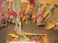 0907 Fahrt nach Shigatse - Besuch bei einer Bauernfamilie -