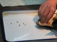 Peking - Perlen-Manufaktur