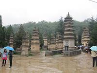 Luoyang Ausflug ins Shaolin-Kloster- Pagodenwald