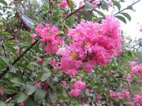 Yangtze-Kreuzfahrt - Geisterstadt Fengdu