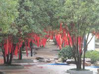 Nanjing - Park Schwarzer-Drachen-See