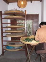 Suzhou - Seidenmanufaktur- Seidenraupenzucht