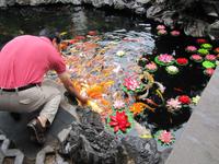 Shanghai - Jadebuddha-Tempel
