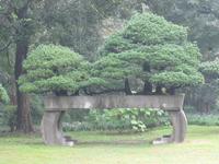 Hangzhou - Bonsai-Garten - Westsee