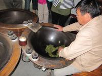 Hangzhou - Drachenbrunnentee-Plantage