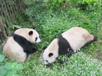 Guilin - Besuch Sechs-Sterne-Park