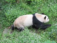 Guilin - Besuch Sechs-Sterne-Park