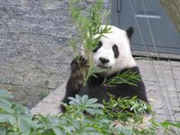 Guilin - Besuch Sechs-Sterne-Park