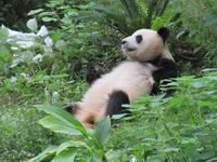 Guilin - Besuch Sechs-Sterne-Park